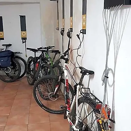 Vida Centro 2*